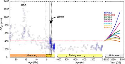 Using paleoecological data to inform decision making: A deep-time perspective